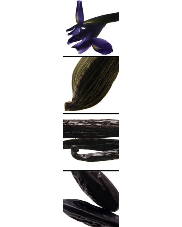 Yves Saint Laurent La Nuit De L'homme - Image 2
